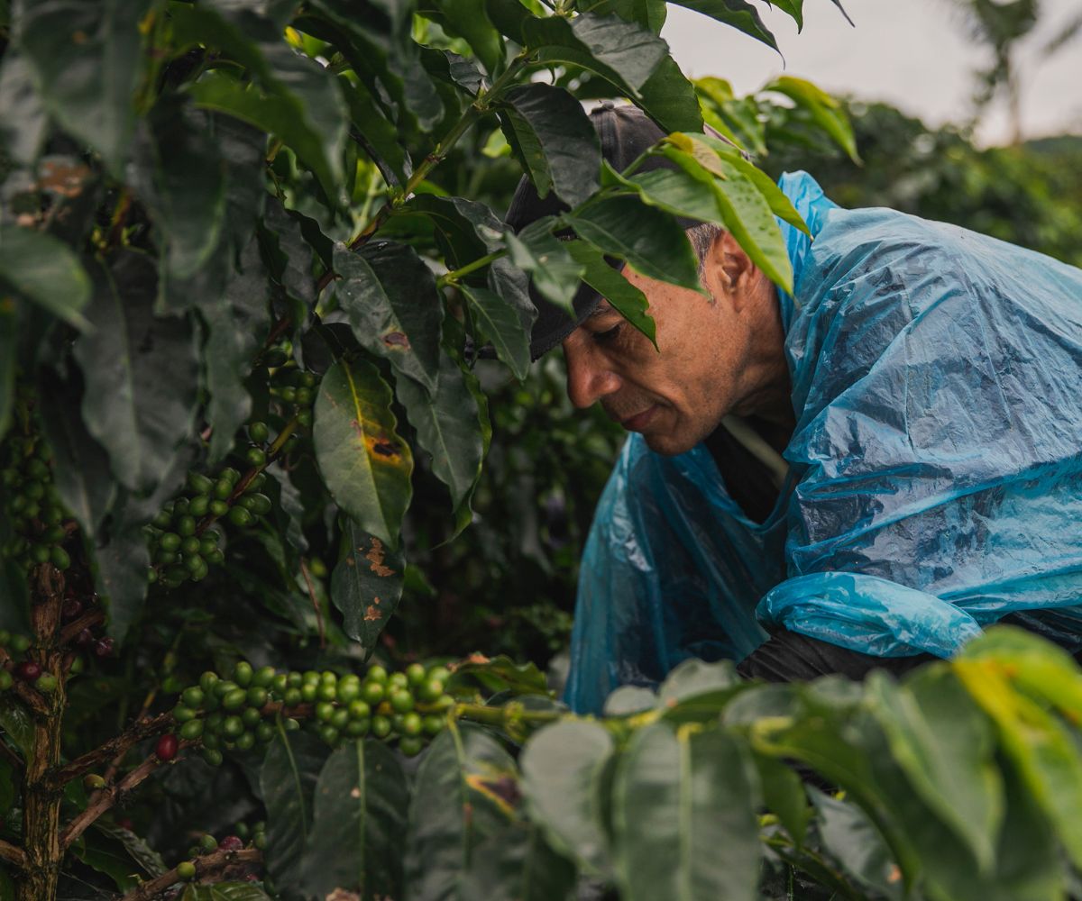 Warum Fairtrade nicht gleich fair bedeutet