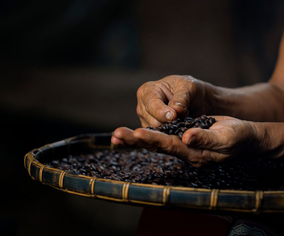 Specialty Coffee